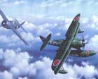 airplane painting carried out on commission 