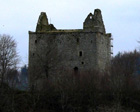 picture of Newark Castle
