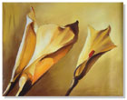 flower painting