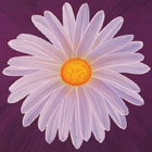 oil painting art