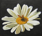 art for sale in our online gallery